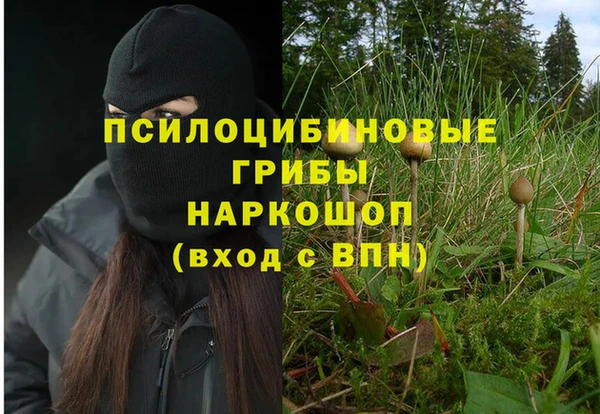 mix Горняк