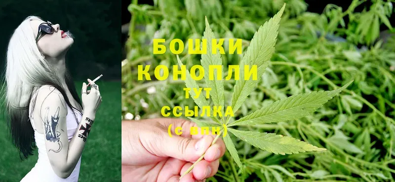 закладка  Малаховка  Шишки марихуана THC 21% 